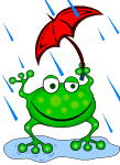 Frog in the Rain 